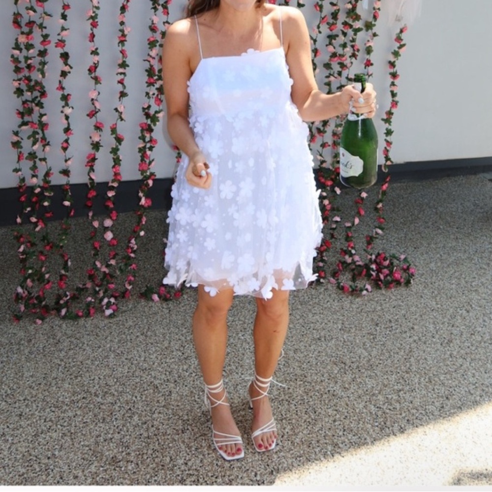 Altar’d State Aurora Babydoll Dress - Picture 3 of 3